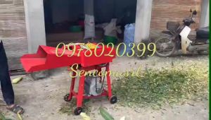 Máy  băm cỏ voi   băm rơm làm nấm