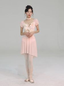 daydance | Woman Teen Pink Ballet Skirts Nylon Soft Mesh Irregular Skirts Elastic Waist Dance Skirt Adult One Layer Translucent Long Skirt