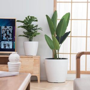 MEISITEKEKE | Self-watering Round Plant Pot for Living Room Resin