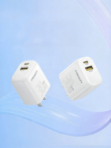 PISEN | Sạc Nhanh Đôi USB-C Tương Thích