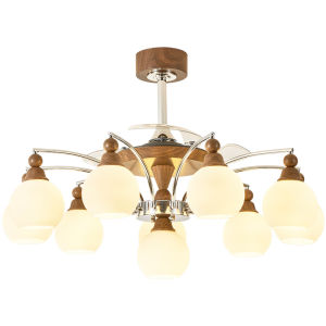 DGY | Vintage Eye-protecting Chandelier Fan Light