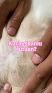 Cat & Fit Shampoo V1 - Anti parasit kulit kucing anjing