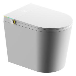 Smart Automatic No Water Pressure Limitations Siphonic Toilet 52cm