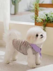 hipidog | Áo Thun Polo Sọc Thông Khí cho Chó Nhỏ Áo Dây Kéo