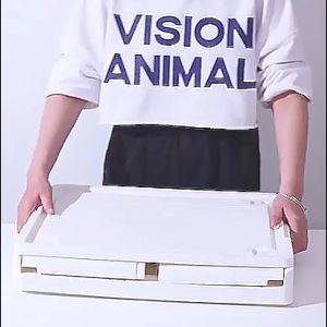 Large Capacity Transparent Storage Box with Wheels - Folding Trunk for Books Snacks Clothing