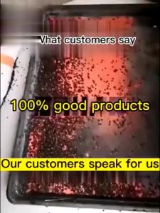 10 years without flies fly killing bait powder fly killer fly bait Fly Attractant Medicine Fly Control Attractant Azamethiphos fly bait granular Attractant Medicine swatter langaw catcher gel for poultry insect mosquito electric anti - Lazada