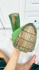 Lợp Đặt Cá Chạch Đời Mới Nhất