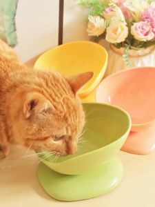 ชามอาหารสัตว์เลี้ยง ทรงถ้วยน้ำชา มีฐานตั้ง ไม่พลิกคว่ำ ใช้ได้ทั้งหมาและแมว