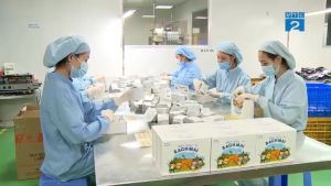 Men sống Bạch Mai NEW Men vi sinh cho bé Táo bón Biếng ăn Tiêu chảy giúp tiêu hóa khỏe trẻ ăn ngon Hộp 30 gói