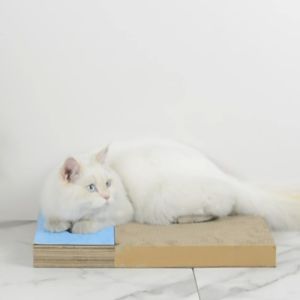 🦴B.T.🦴 กระดาษลับเล็บแมวสุดคิ้ว 🏀 เล็บแมว ของเล่น ขนาดเล็กพกพาง่าย 🏀 สีทรงสี 🏀 การฝนเล็บแมว 👍