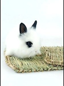 เสื่อหญ้ากระต่าย ที่นอนทำจากหญ้าแห้งสำหรับกระต่าย รังนอนหญ้า เสื่อฟาง ที่นอนทำจากหญ้าแห้ง