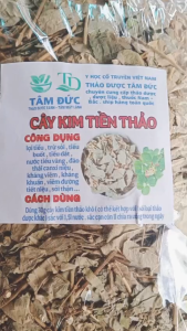 100g cây kim  tiền thảo sấy khô