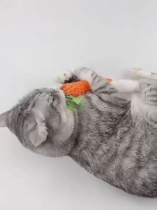 ของเล่นสัตว์เลี้ยง แครอทเชือก มี2ขนาด ของเล่นสุนัข ของเล่นบดฟัน สไตล์แครอท ของเล่นเคี้ยว ทนต่อการเล่นและกัด