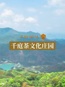 Phoenix Dancong Almond Scent Oolong Tea 50g