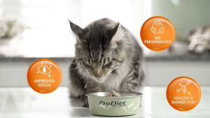 ProDiet Makanan Kucing Basah Pouch 85g