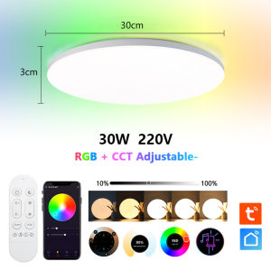Parkson | APP TUYA Remote Control Bluetooth Acryl Smart Ceiling Light 220V RGB Indoor Lighting Colorful Modern Voice Music Control