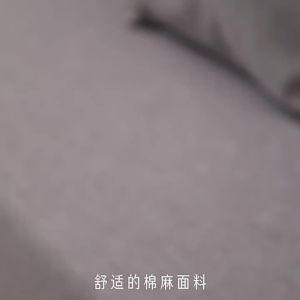 Folding Fabric Sofa Bed