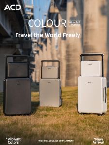Simplistic Wide Handle Trolley Luggage 20inch