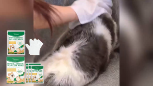 Yegbong Portable disposable pet cleaning gloves gentle and safe for fur perfect for wiping down puppies and kittens deodorizing no-rinse gloves