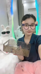 Khay Nhựa Dựng Đồ Đa Năng Trong Suốt Có Tay Cầm Tiện Lợi Hộp Đựng Mỹ Phẩm Nhà Tắm Tiện Lợi