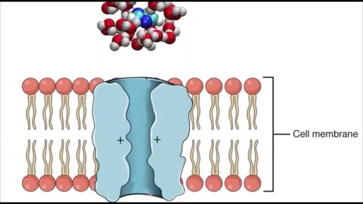 THZ - Terahertz Water Device