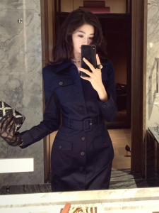 DANTING | French Style Elegant Luxurious Waist-Cinching Indigo Shirt Dress