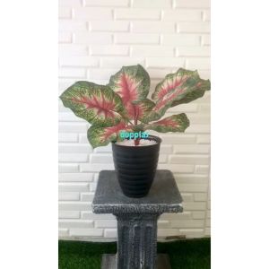 Pohon Artificial Tanaman Hias Daun Keladi Merah X9 Semilatex Pot Tawon Pirus Hitam Dekorasi Meja Kantor