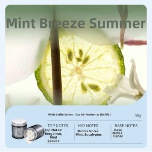 SONGCHAO | Long-lasting Fragrant Car Air Freshener