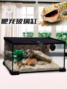 Tailwise | Multipurpose Terrarium for Reptiles & Crabs Glass