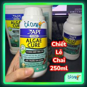 Vi Sinh API ALGAE CURE POND - Vi sinh ăn tảo Sống làm trong nước khử NO3 & PO4 (HÀNG CTY)