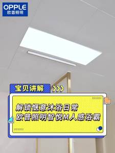 OPPLE | AI Temperature Control Bacteria & Odor Removal Smart Warm Air Bath Heater