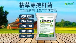 Bacillus Subtilis Larut Air 全水溶1000亿枯草芽孢杆菌防治枯萎青枯病烂根根腐抗重茬生根壮苗