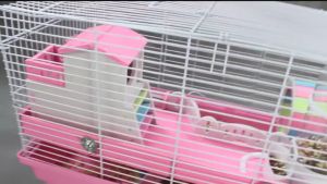 【READY-STOCK】Hamster Cage Hamster House Complete Set Luxury Hamster Cage Small Animal Full Set Cage 仓鼠笼子套餐组合 仓鼠组合笼子套餐