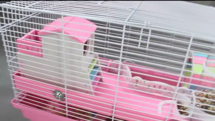 View of 【READY-STOCK】Hamster Cage Hamster House Complete Set Luxury Hamster ...