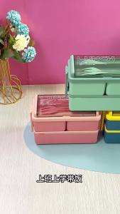 Insulated Double Layer Lunch Box