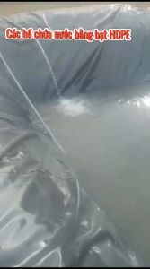 BẠT LÓT AO HỒ CHĂN NUÔI CÁ TÔM... BẰNG BẠT HDPE KHỔ RỘNG 6 M (loại 3zem)
