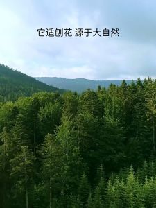 🇸🇬 (45L) Aspen Bedding for Small Pets - Hamsters Rabbits & Guinea Pig (2 sizes) / Wood Shavings / Bedding Litter / Home Small Animal Litter