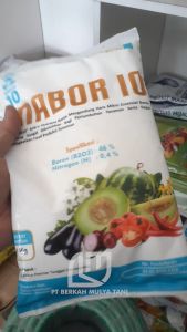 Pupuk Boron inabor 10 1 Kg Fase Generatif Pembungaan Pembuahan