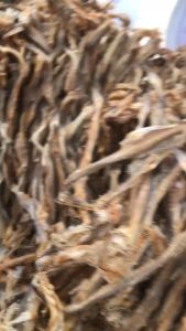 ปลาหัวยุ่ง 1กิโลกรัม ปลาหัวยุ่งแบบมีหัว สะอาด อร่อย มีราคาส่ง มีเก็บปลายทาง