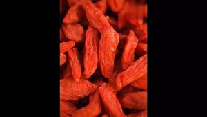 Dried Goji Berries (枸杞子 Goji Berry) Premium Chinese Herbal - 250g / 500g