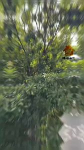 Máy chơi game đôi máy chơi game Sup 400 trò vui nhộn