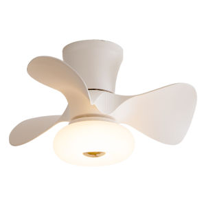 FANCY LAMP CLUB | Modern Minimalist Eye-Protection New 2026 Bedroom Kids Ceiling Fan Light