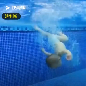 Anakkid---Shark Rocket Throwing Toys Set Underwater Sinking Swimming Pool Diving Games Ring Fish Stick Toys For Kids