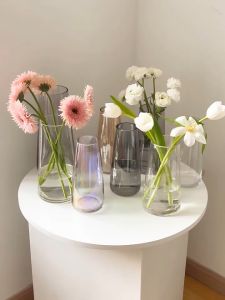 Glass vase transparent decoration living room flower arrangement water raised rose flower glass bottle