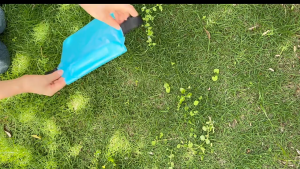 《 𝗧𝗥𝗜𝗣𝗟𝗘 𝗦𝗘𝗔𝗟 》 Adjustable PVC Waterproof Waist Bag Beach Swim Pouch Beg Telefon Kalis Air 手机防水袋 NWD