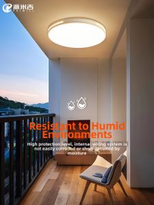 PAIMIJI | Outdoor Ceiling Light for Balcony and Patio Moisture and Insect Proof