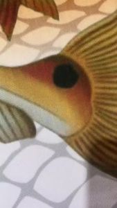 kaos pria memancing 4/ kaos memacing/ kaos desain joker full printing/bisa reques nama dan logo