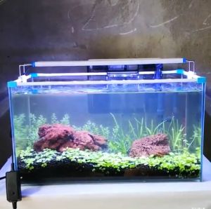 【DDC AQUA】Aquarium Lights Clip Waterproof Fish Tank Light Aquarium Accessories light for aquarium