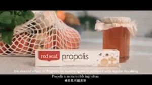 red seal Propolis Toothpaste for Healthy Gums and Teeth (100g / 100g x2)