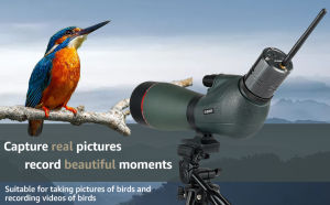 Svbony SV406P ED Monocular Spotting Scopes  20-60x80 ED Glasses HD Dual Focus BAK4 FMC High Resolution Telescopes for Stargazing Wildlife Viewing Bird Watching